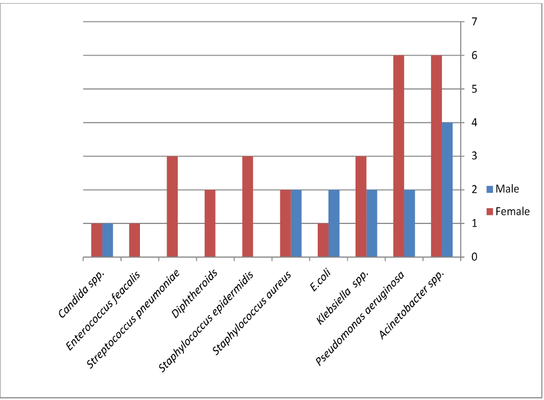 Figure 6:
