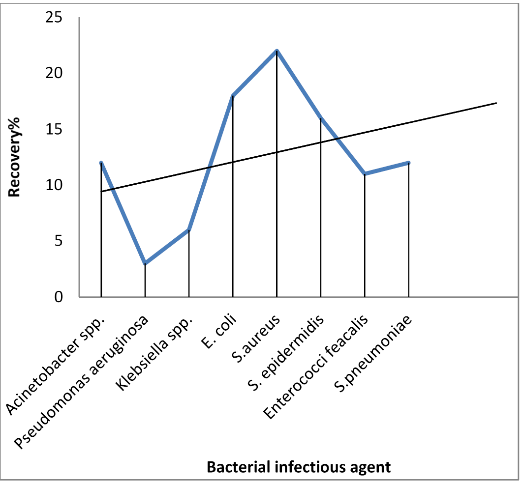 Figure 7: