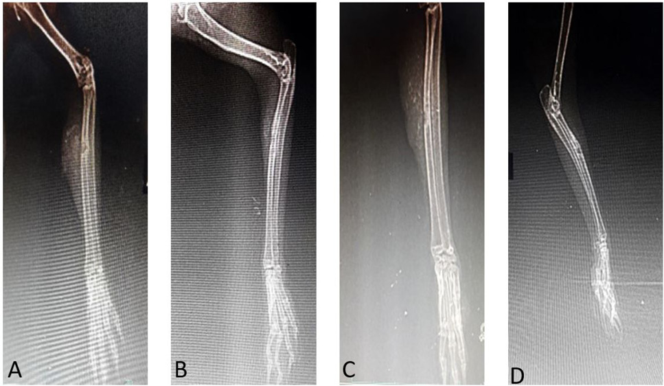 Fig. 7.