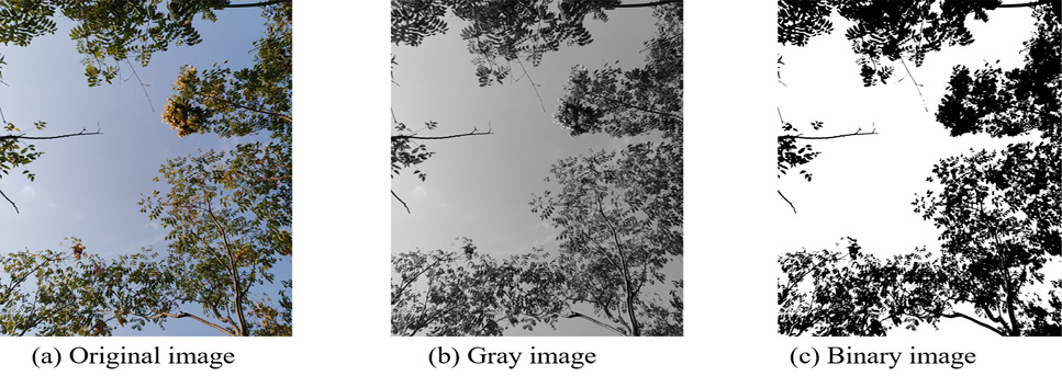 Fig. 2.