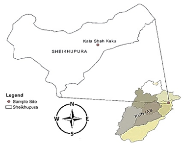 Figure 1: