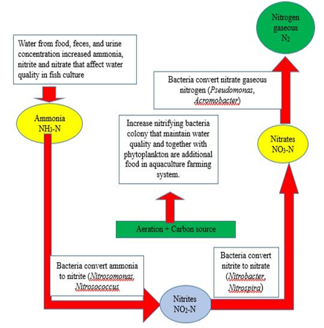 Figure 4: