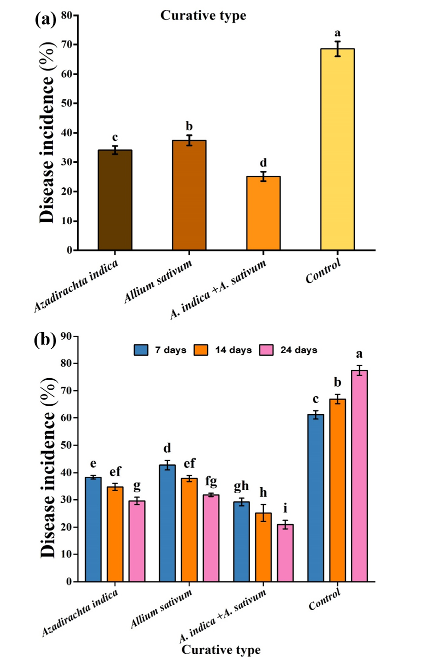 Figure 4: