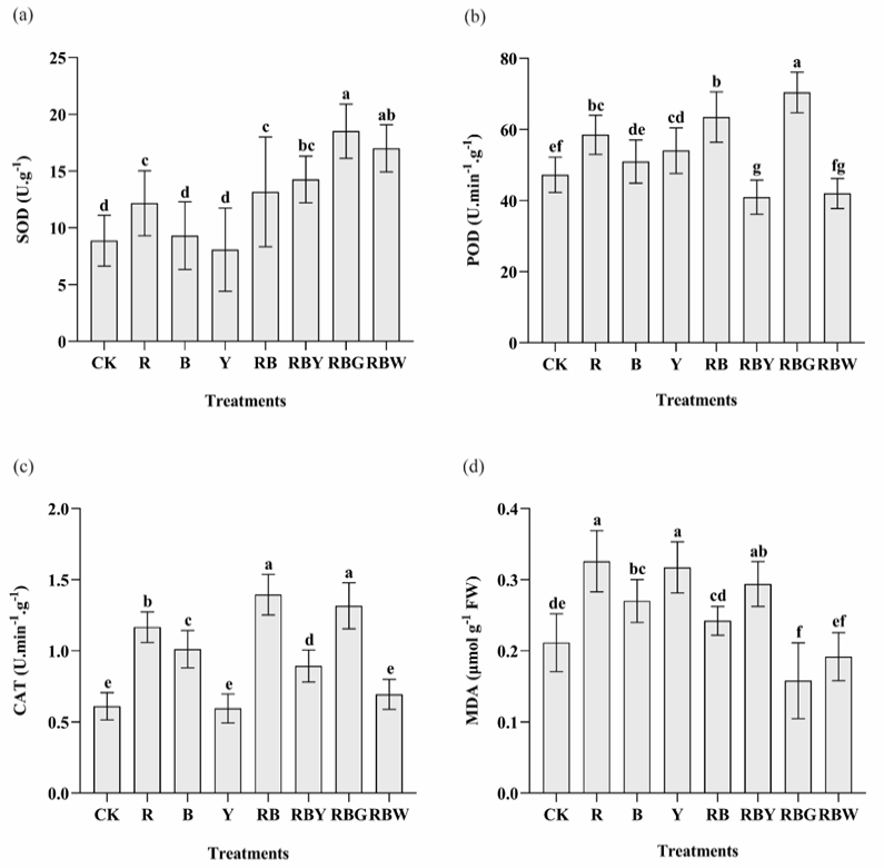 Figure 5: