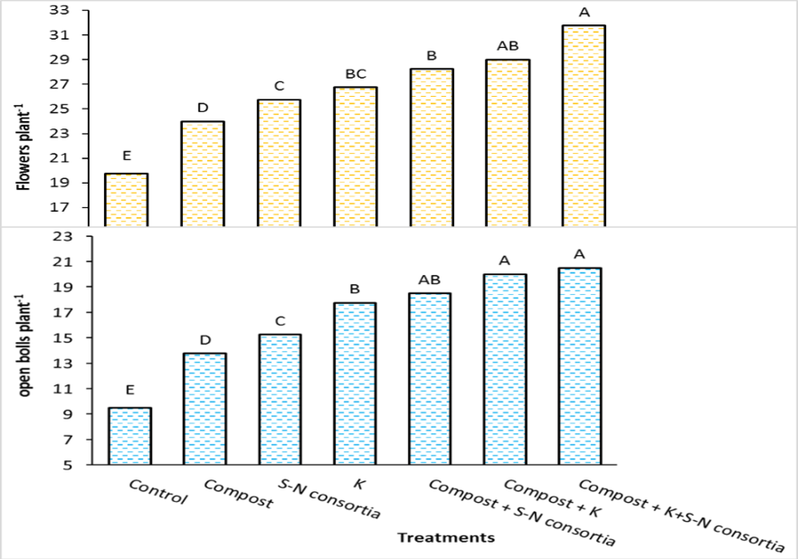 Figure 3: