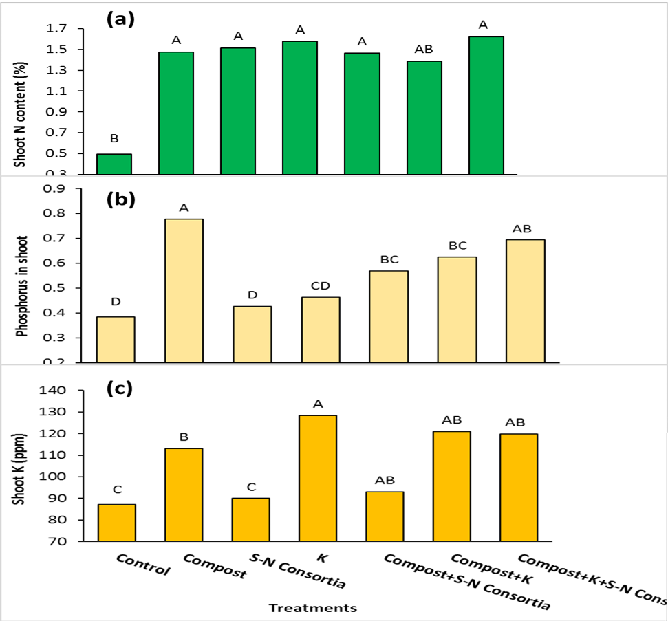 Figure 7: