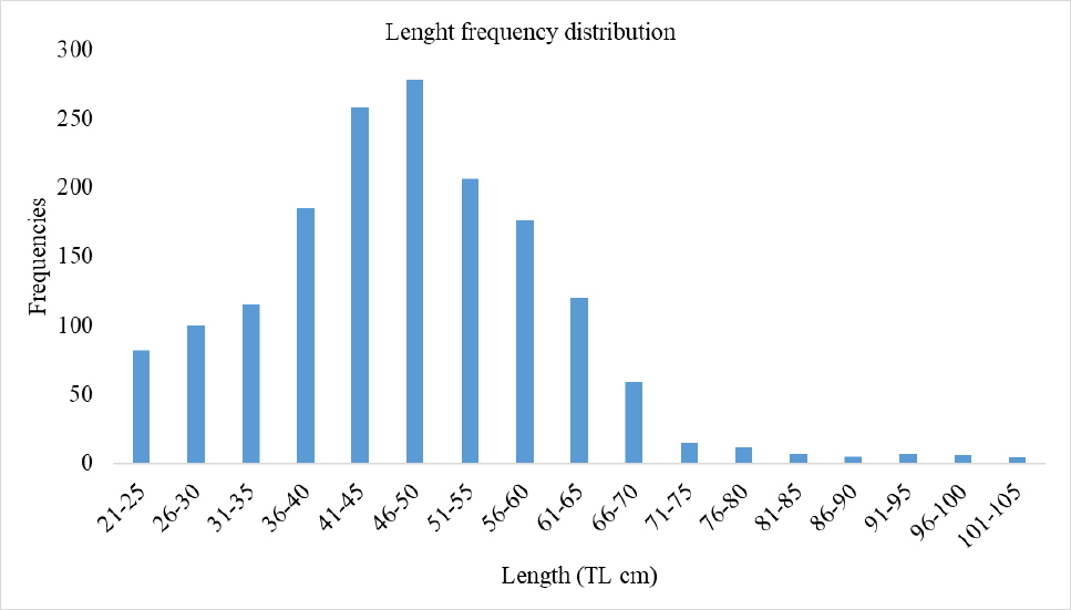 Fig. 3.