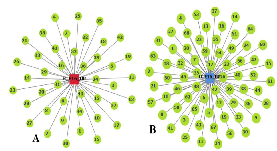 Fig. 4. A: