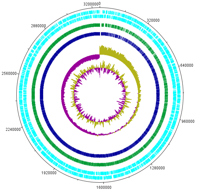 Fig. 2.