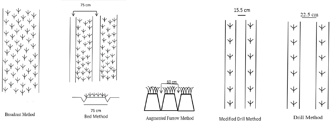 Figure 2: