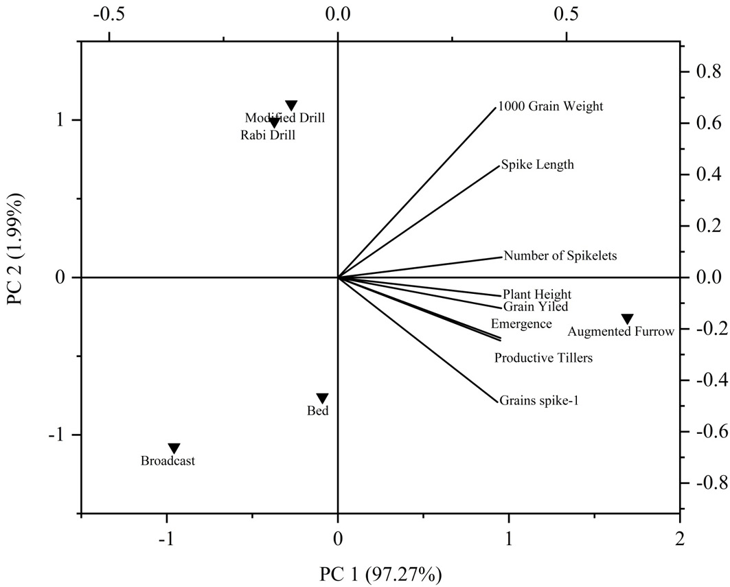 Figure 3: