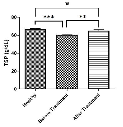 Figure 5: