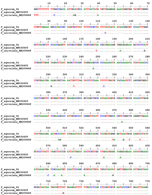 Figure 3: