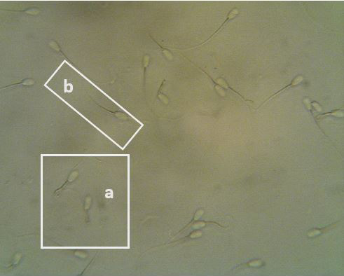 Figure 2:
