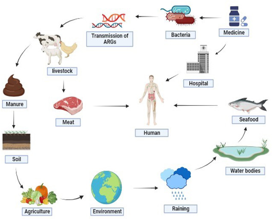 Figure 2: