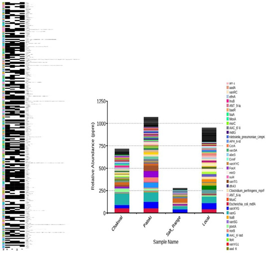 Figure 3: