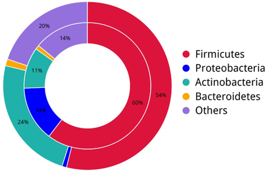 Figure 4: