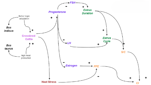 Figure 2: