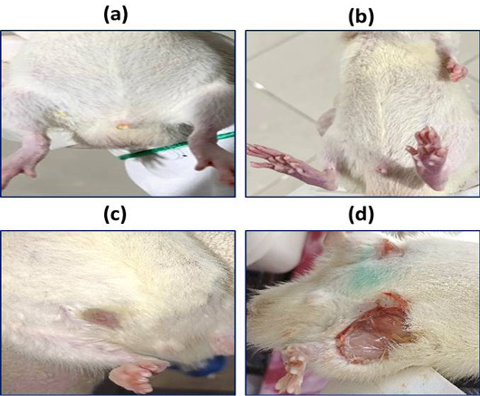 Figure 2: