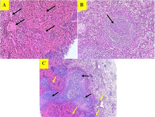 Figure 14: