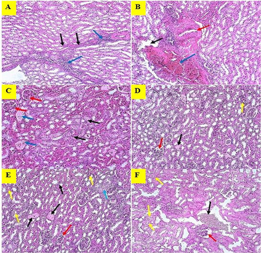 Figure 15: