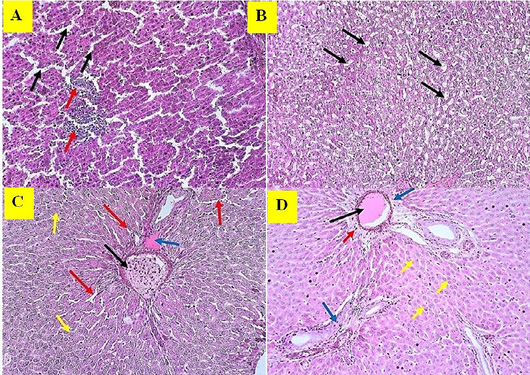 Figure 13: