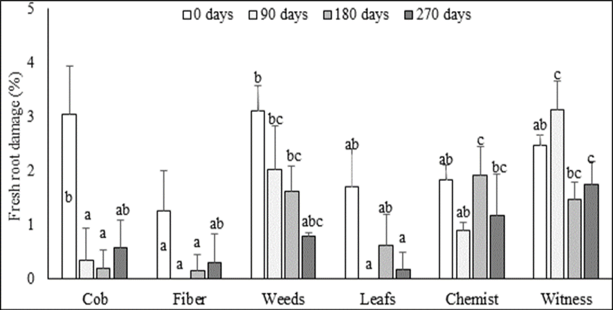 Figure 5: