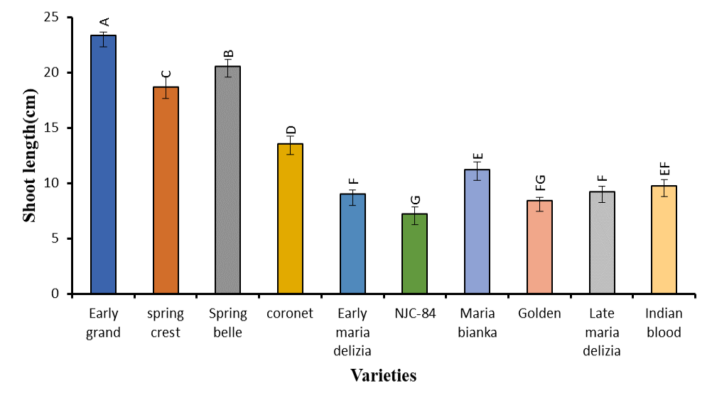 Figure 3: