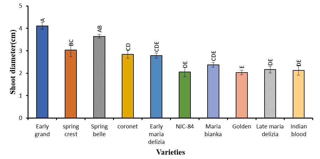 Figure 4: