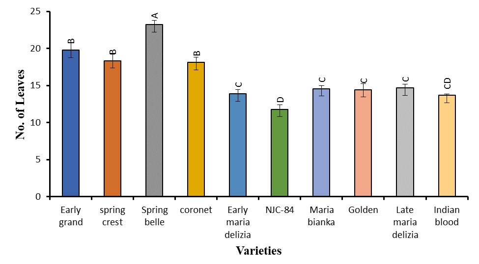 Figure 5: