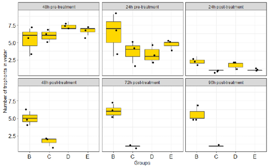 Figure 4: