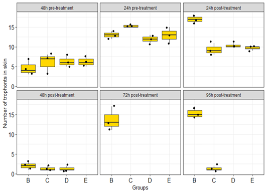 Figure 6: