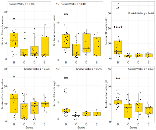 Figure 2:
