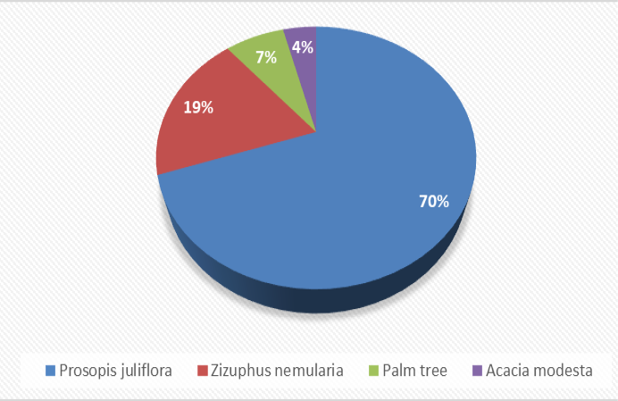 Figure 4: