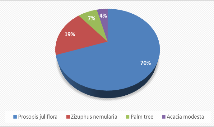 Figure 5: