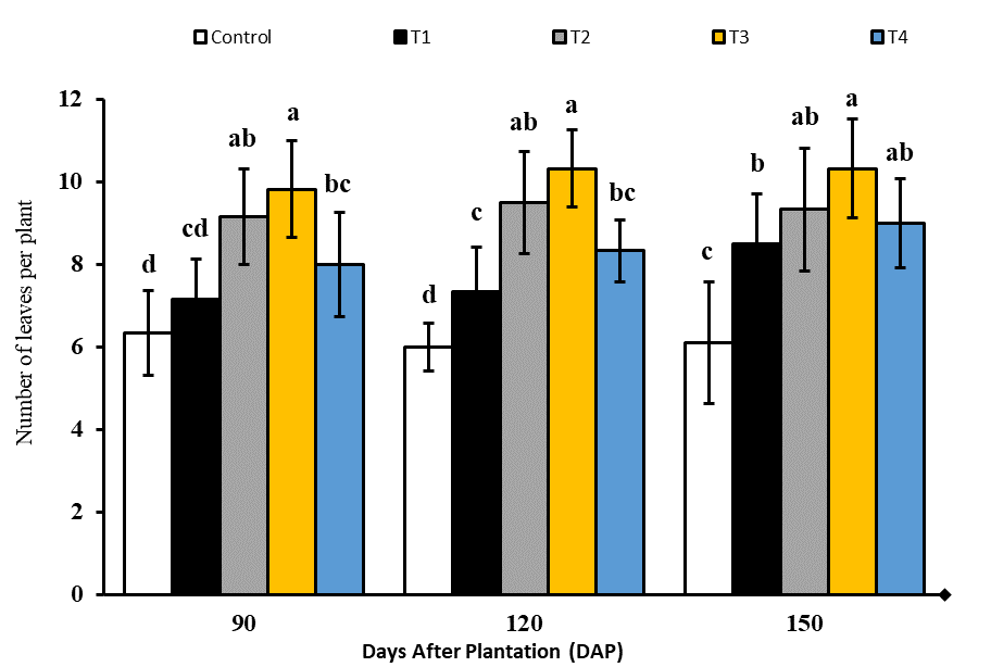Figure 3: