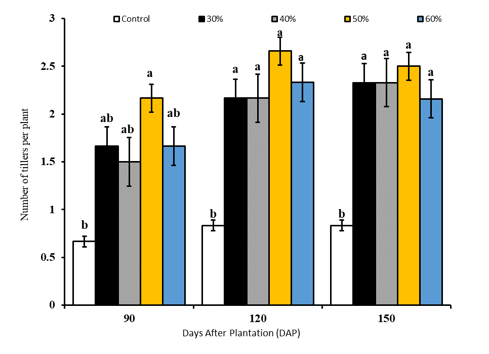 Figure 4: