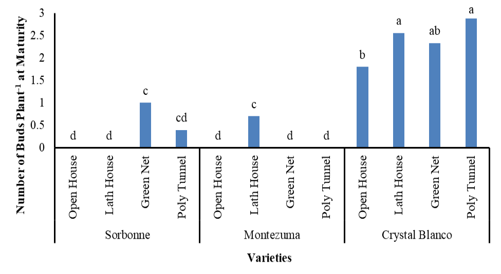 Figure 6: