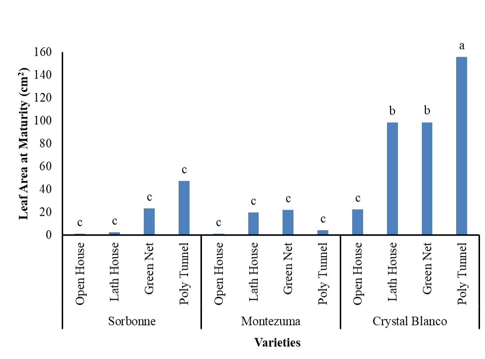 Figure 3: