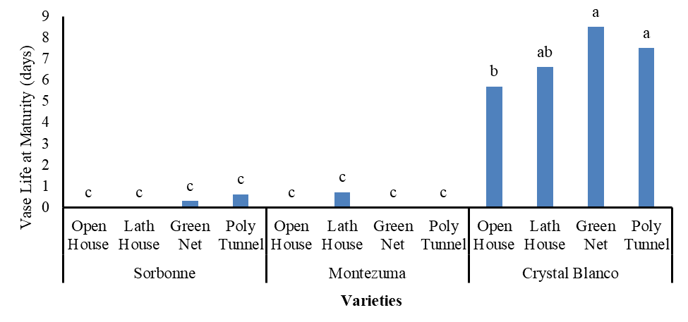 Figure 7: