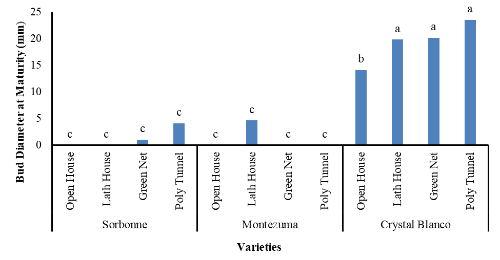 Figure 4: