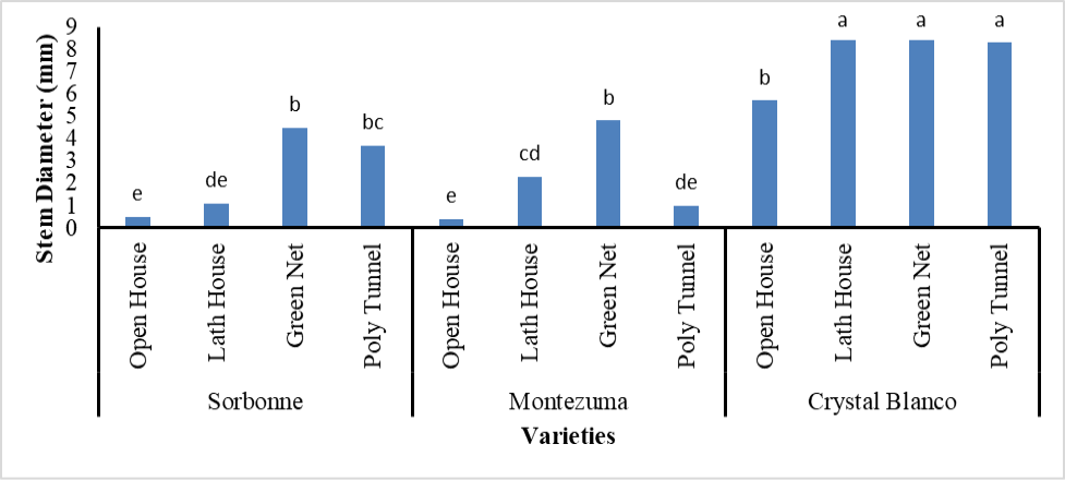 Figure 5: