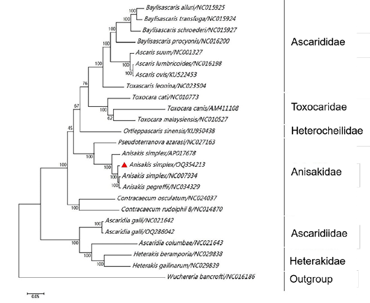 Figure 2: