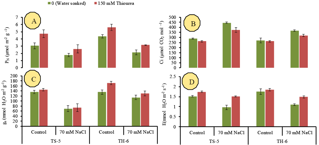 Figure 5: