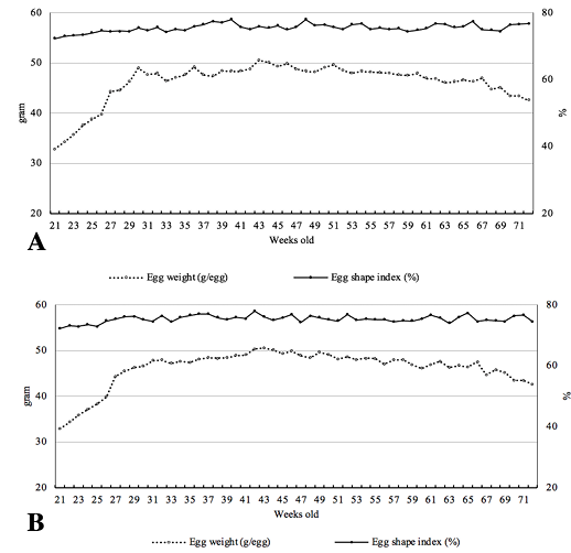 Figure 4: