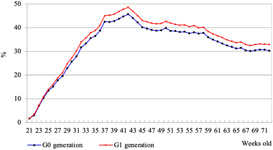 Figure 3: