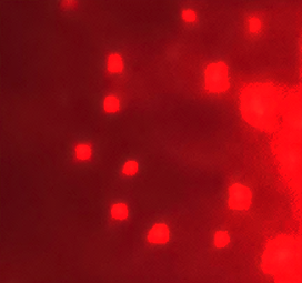 Figure 6: