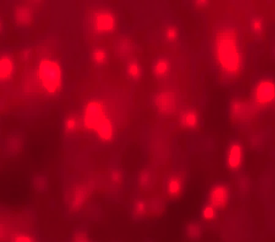 Figure 9: