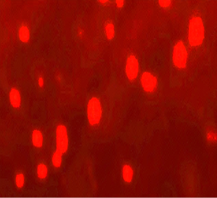 Figure 7: