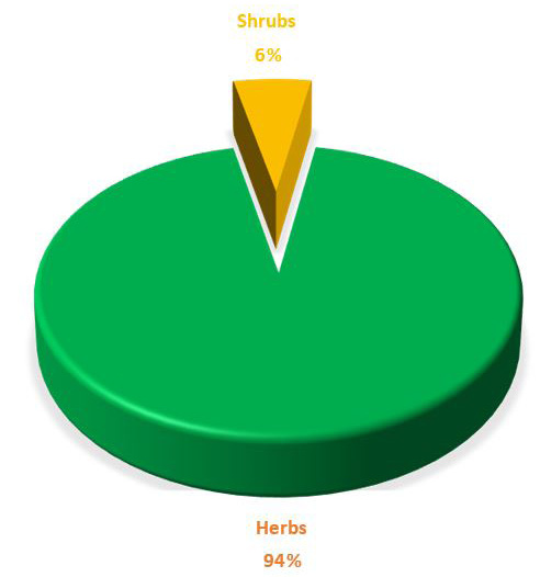 Figure 6: